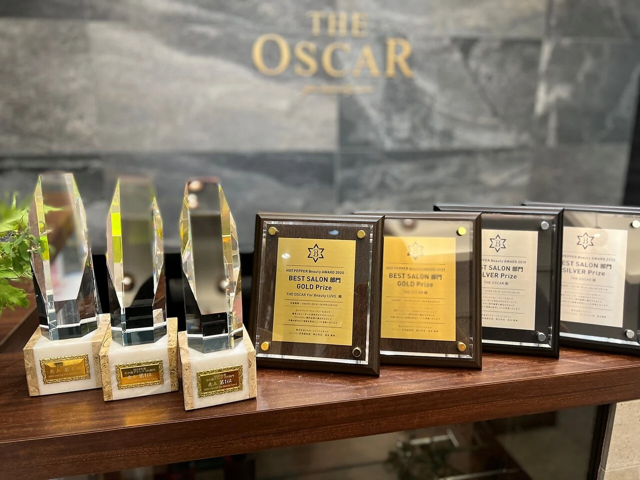 愛知県愛知県でTHE OSCARの求人情報イメージ #774-1614｜サロビ！！
