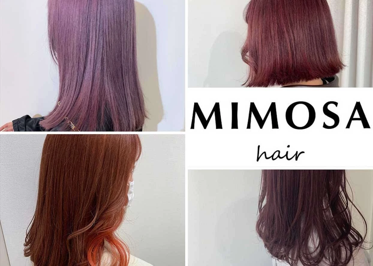 愛知県愛知県でMIMOSA hairの求人情報イメージ #800-3368｜サロビ！！